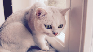猫背,姿勢矯正,倉敷市,整骨院,接骨院,整体,マッサージ,ストレッチ,筋トレ
